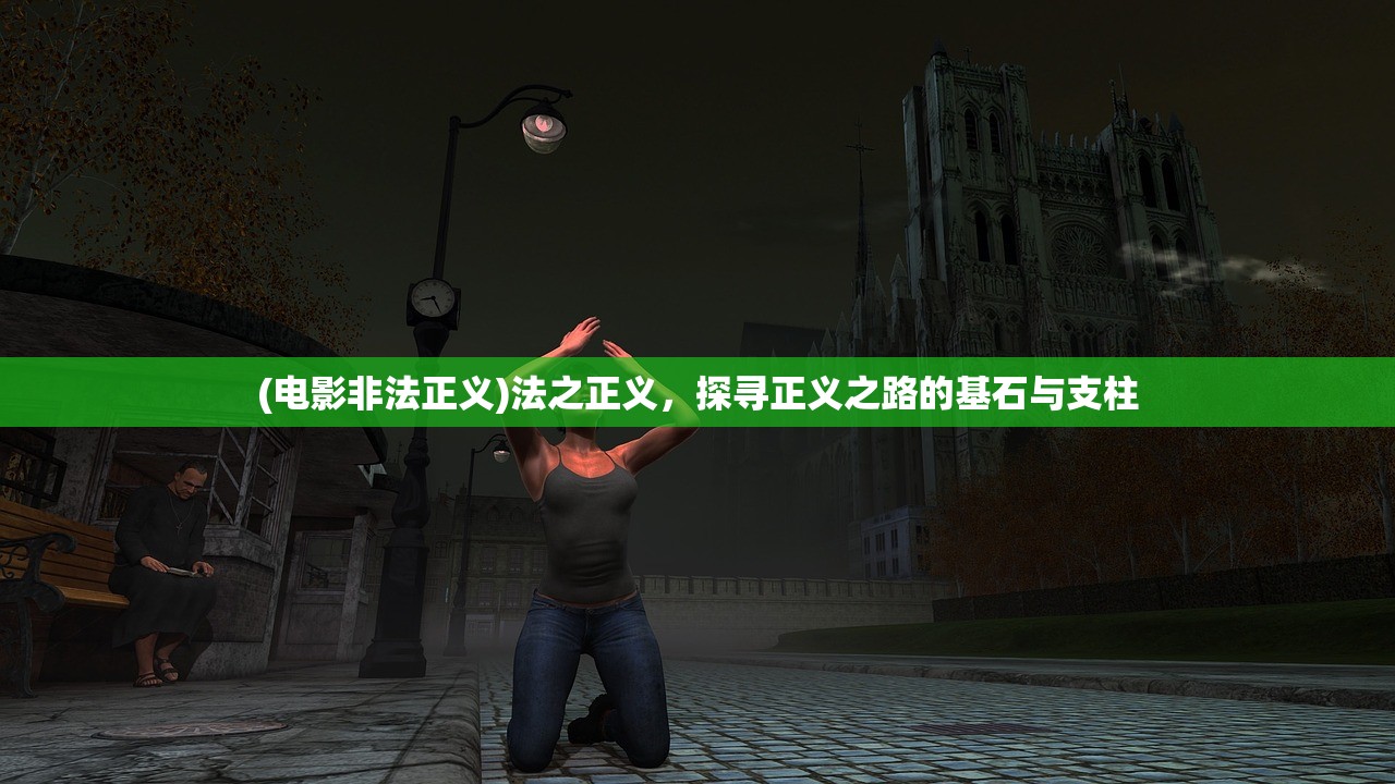 (电影非法正义)法之正义，探寻正义之路的基石与支柱