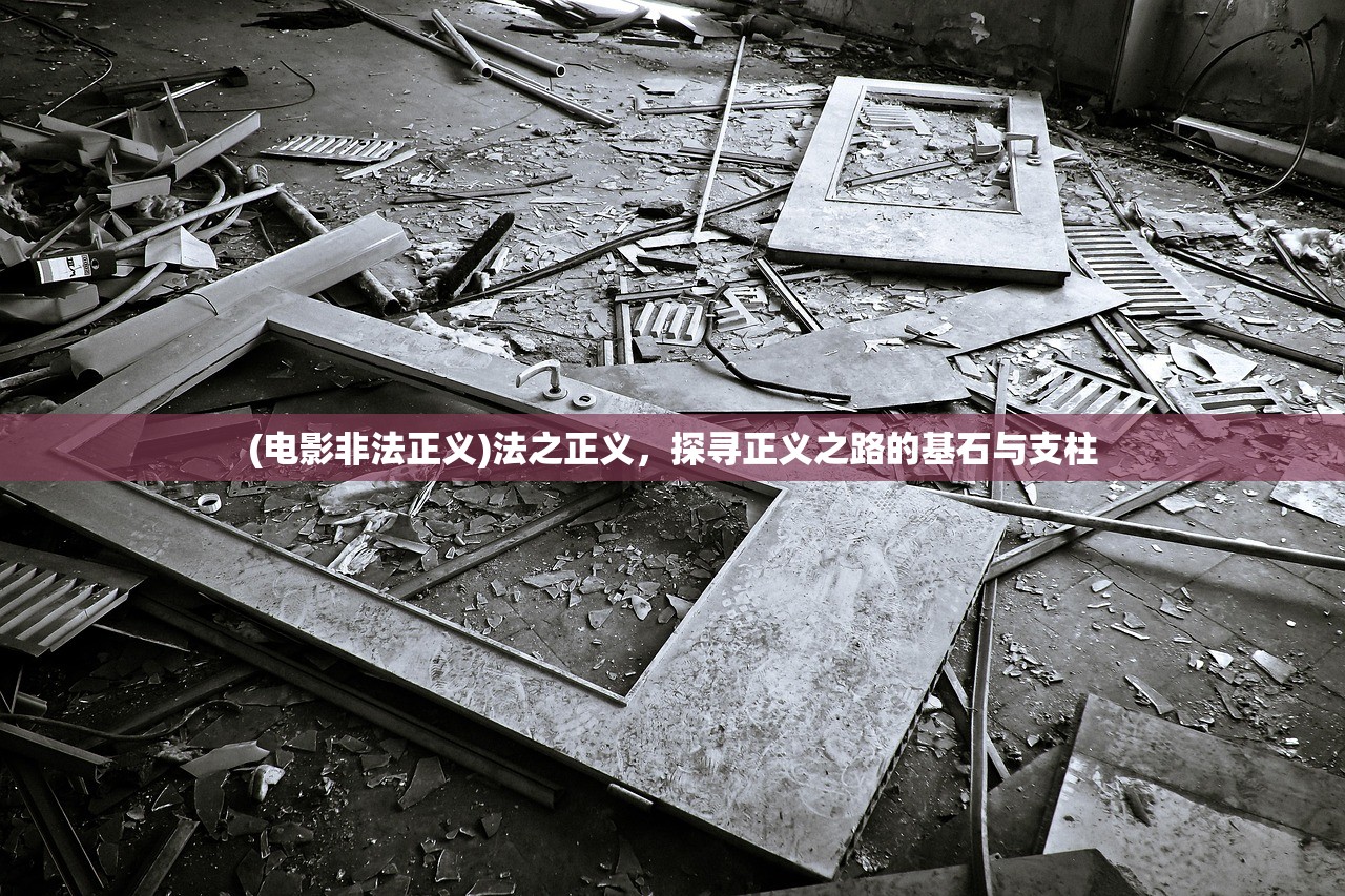 (电影非法正义)法之正义，探寻正义之路的基石与支柱