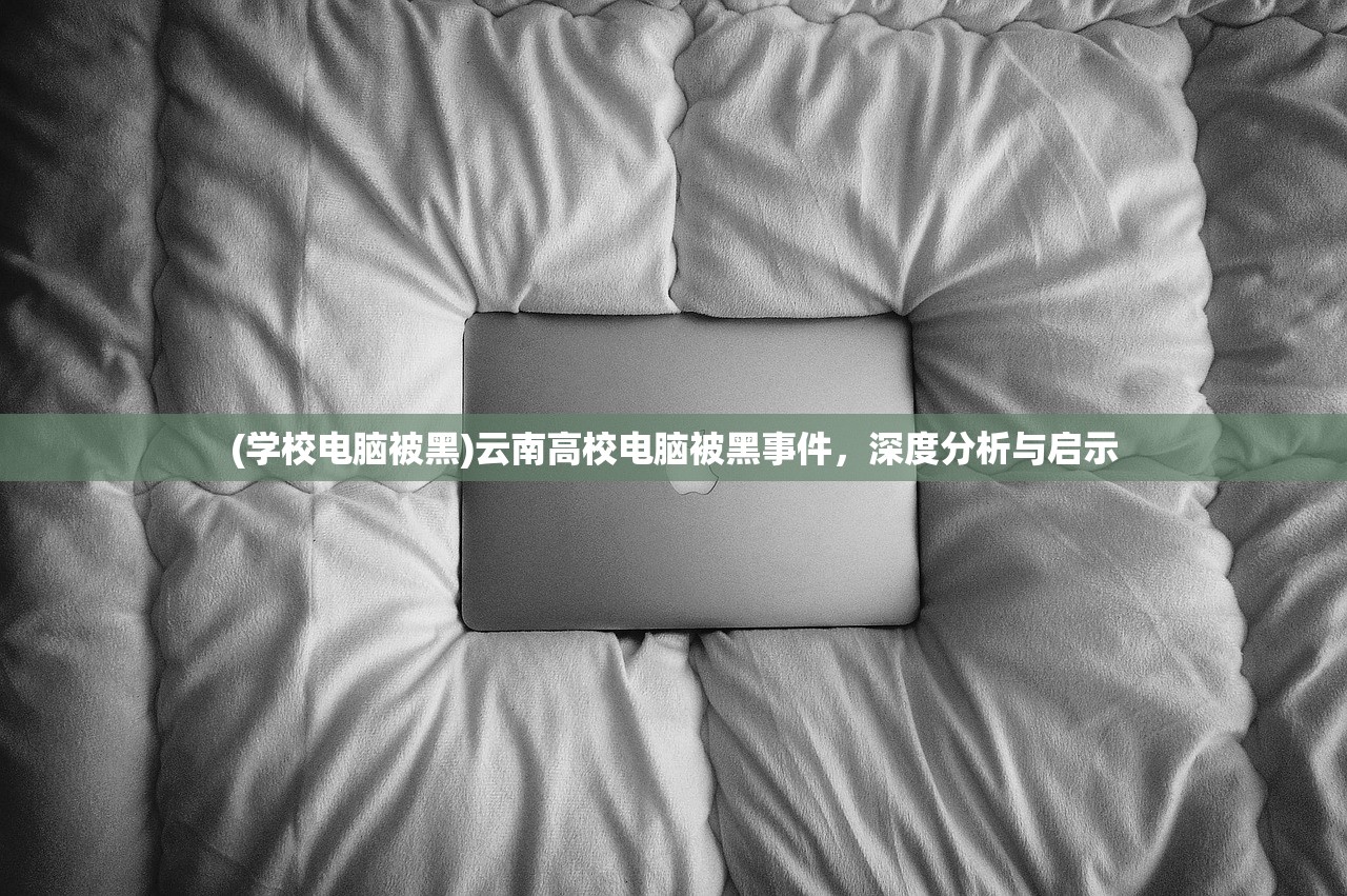 (学校电脑被黑)云南高校电脑被黑事件，深度分析与启示