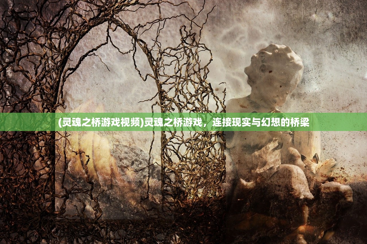 (灵魂之桥游戏视频)灵魂之桥游戏，连接现实与幻想的桥梁