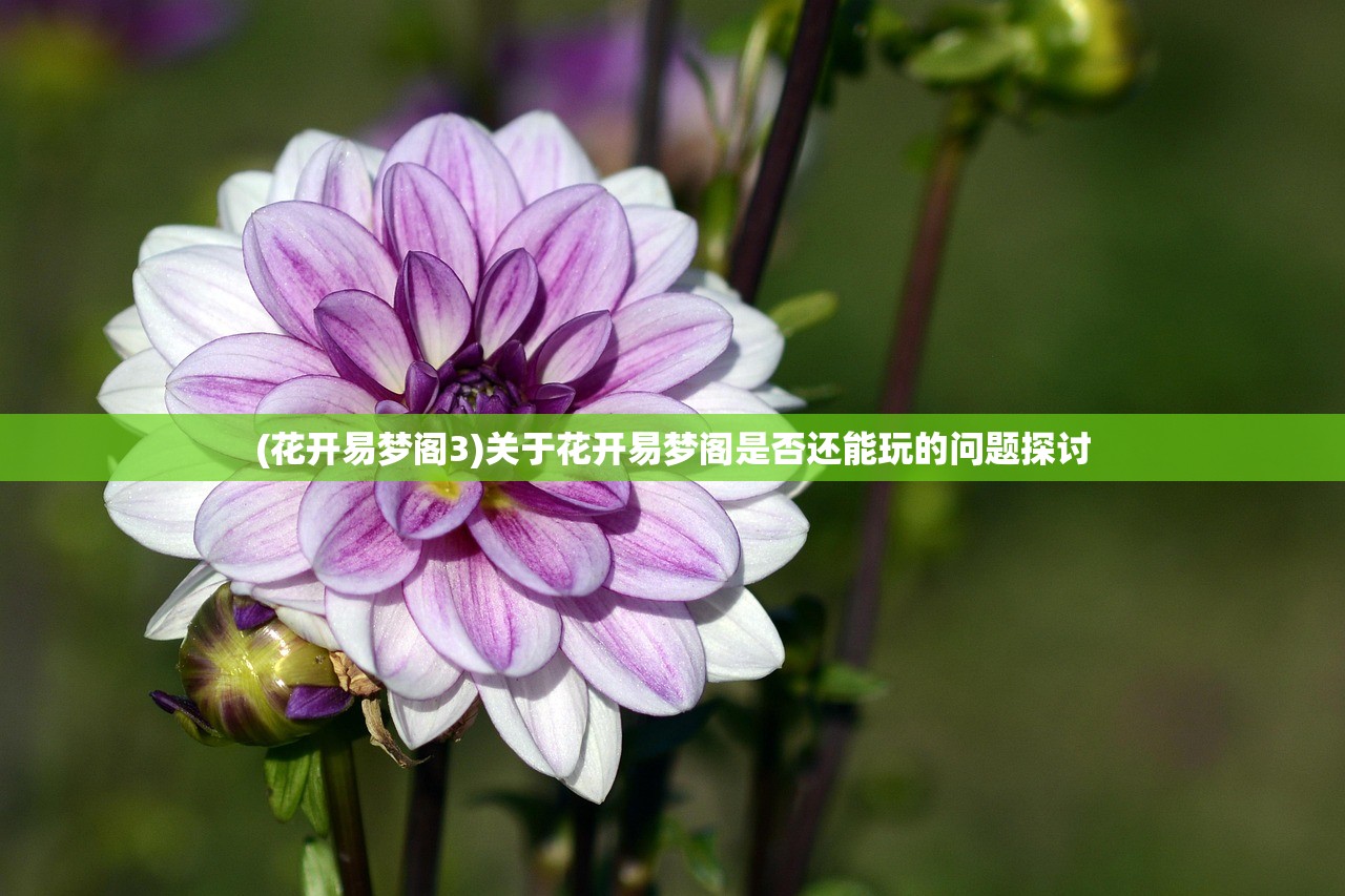 (花开易梦阁3)关于花开易梦阁是否还能玩的问题探讨