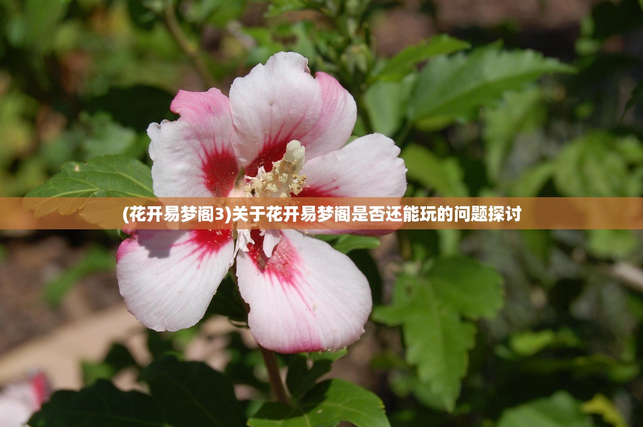 (花开易梦阁3)关于花开易梦阁是否还能玩的问题探讨