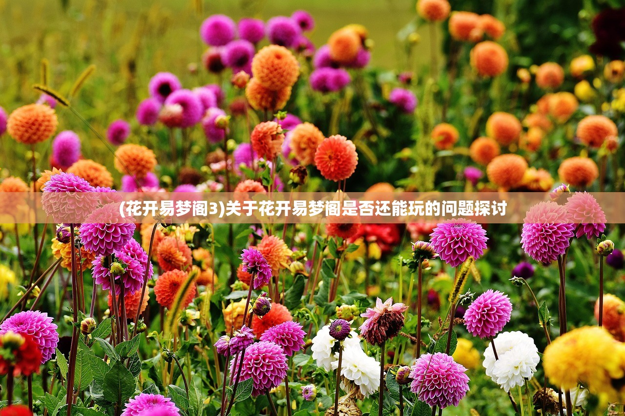 (花开易梦阁3)关于花开易梦阁是否还能玩的问题探讨