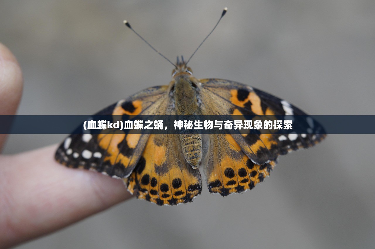 (血蝶kd)血蝶之蛹，神秘生物与奇异现象的探索