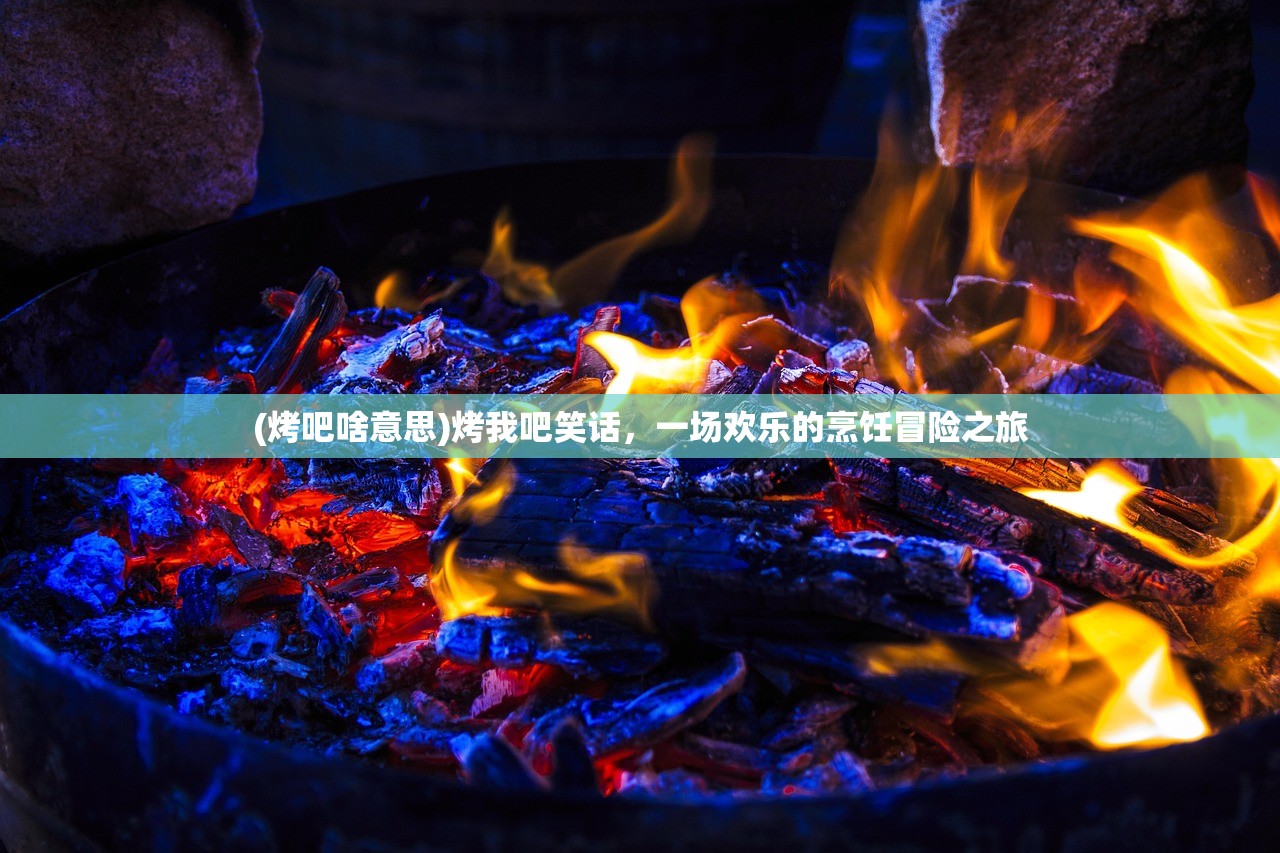 (烤吧啥意思)烤我吧笑话，一场欢乐的烹饪冒险之旅