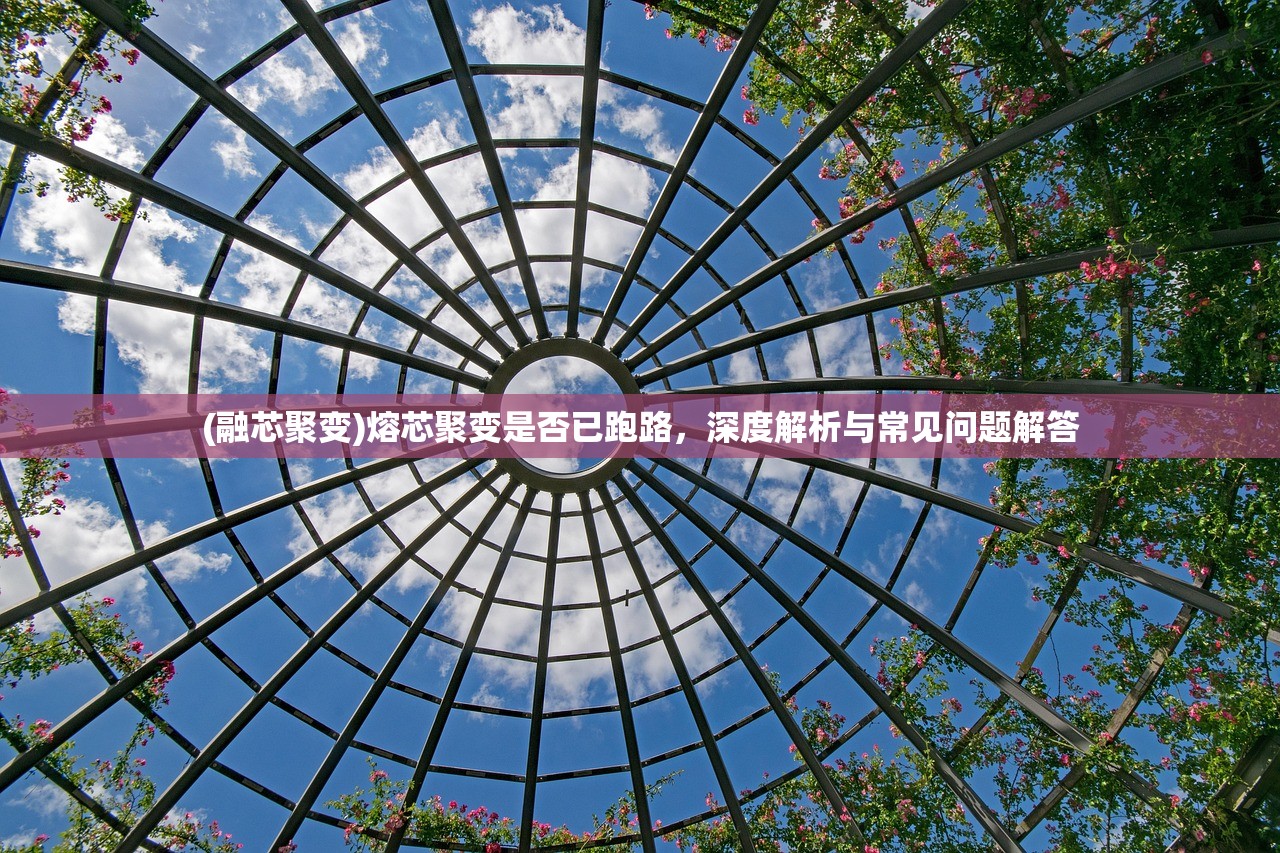 (融芯聚变)熔芯聚变是否已跑路，深度解析与常见问题解答