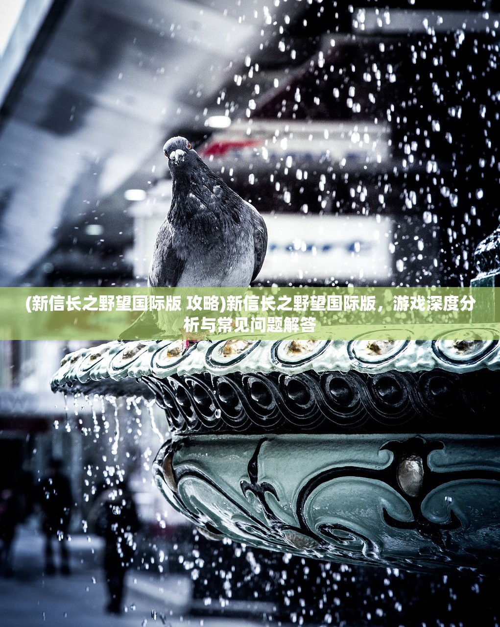 (新信长之野望国际版 攻略)新信长之野望国际版，游戏深度分析与常见问题解答