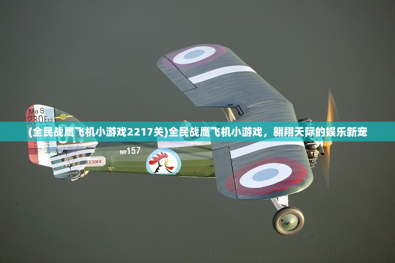 (全民战鹰飞机小游戏2217关)全民战鹰飞机小游戏，翱翔天际的娱乐新宠