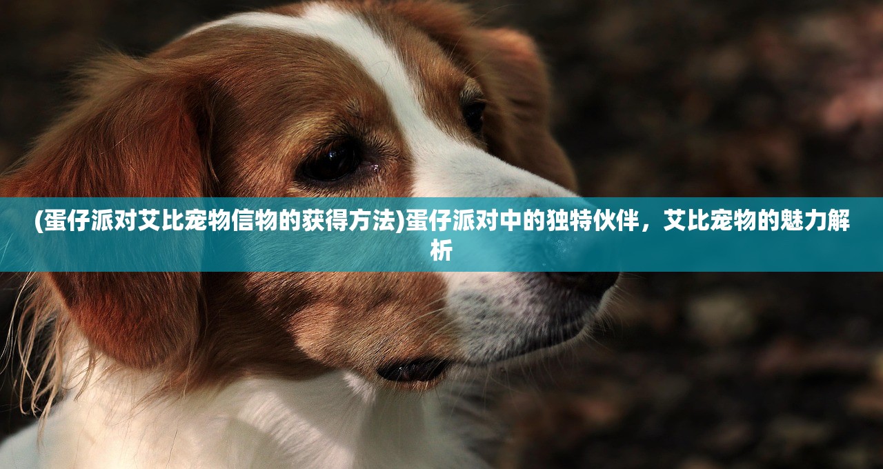 (蛋仔派对艾比宠物信物的获得方法)蛋仔派对中的独特伙伴，艾比宠物的魅力解析
