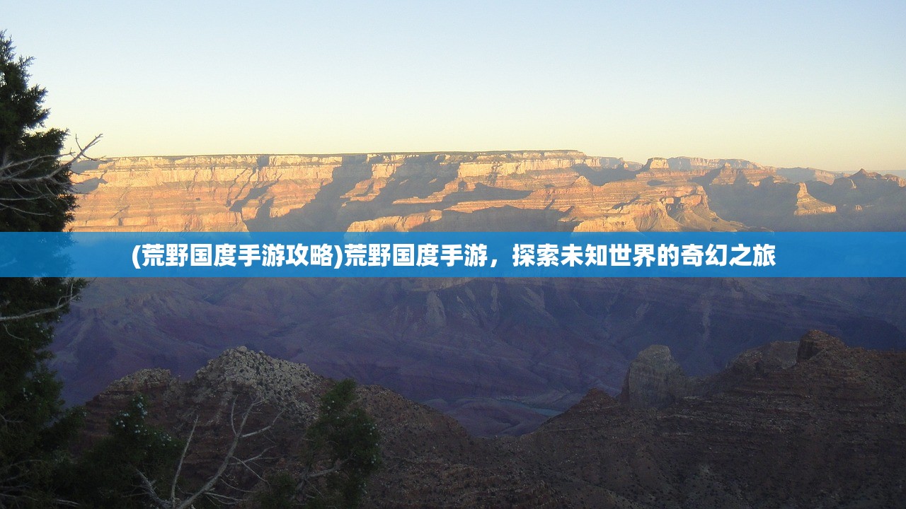 (荒野国度手游攻略)荒野国度手游，探索未知世界的奇幻之旅