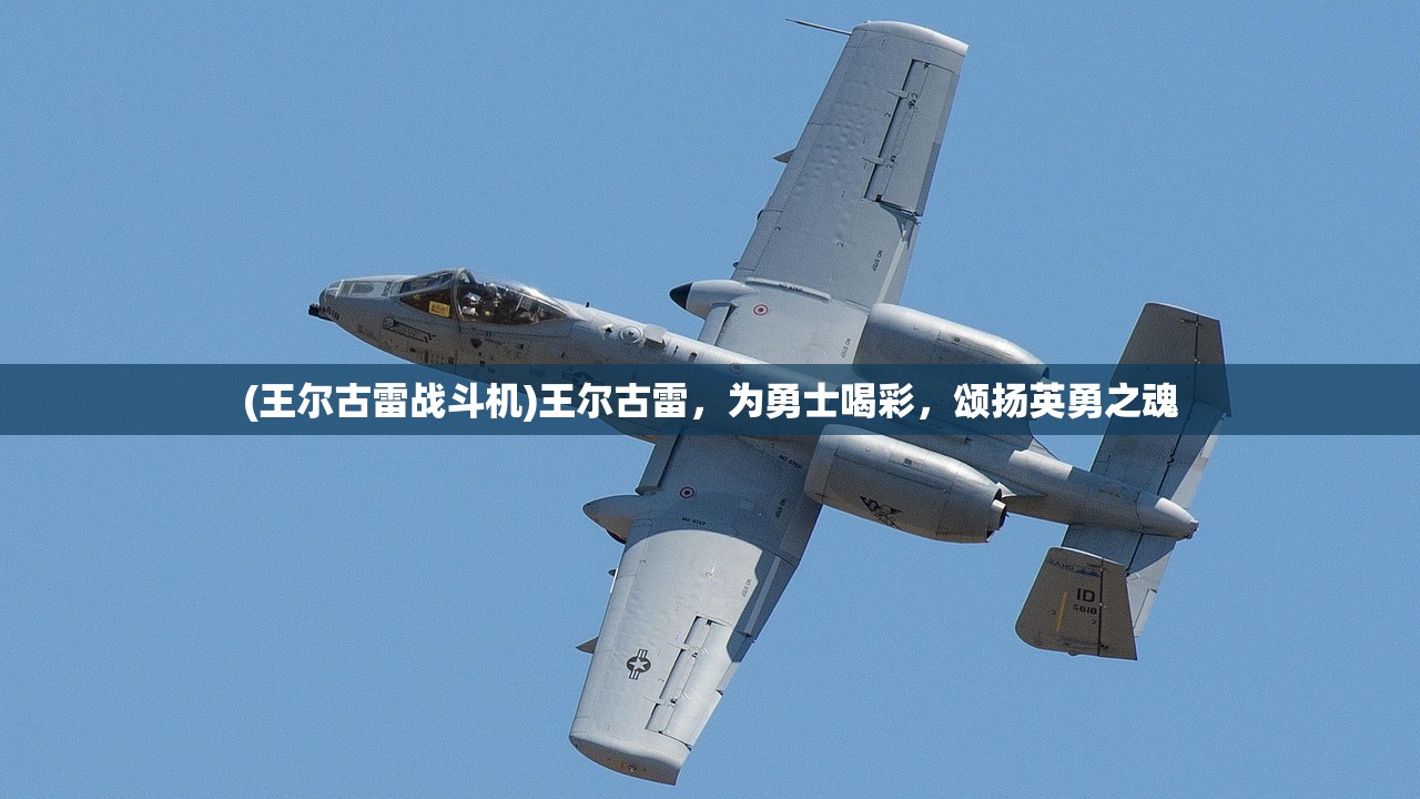 (王尔古雷战斗机)王尔古雷，为勇士喝彩，颂扬英勇之魂