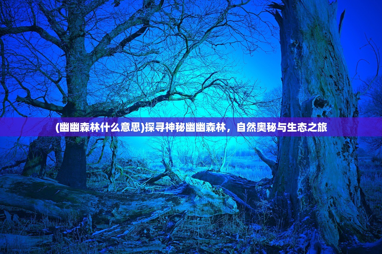 (幽幽森林什么意思)探寻神秘幽幽森林，自然奥秘与生态之旅