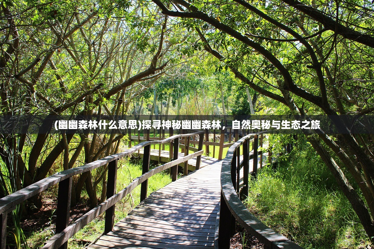 (幽幽森林什么意思)探寻神秘幽幽森林，自然奥秘与生态之旅