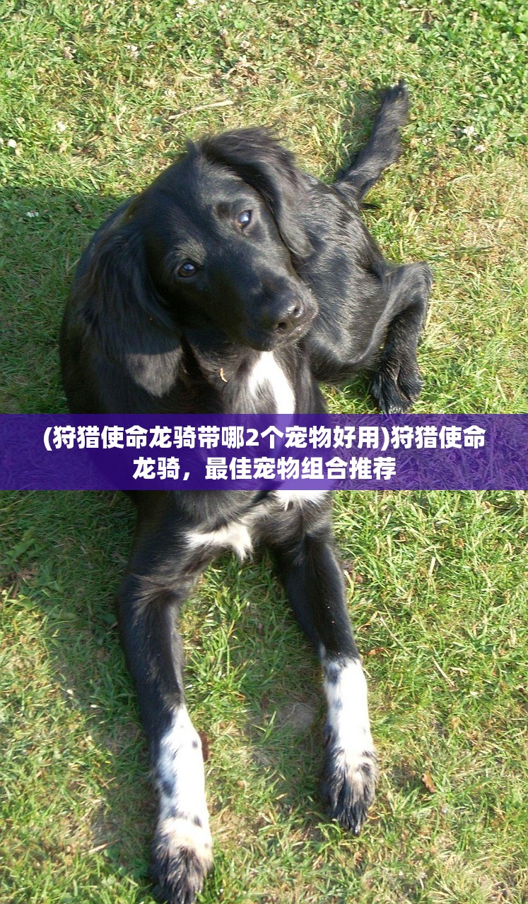 (文明大冒险马里奥大乱斗)文明大冒险马里奥，一场跨越时空的冒险之旅