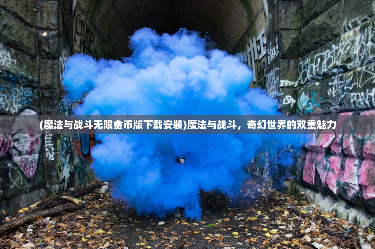(魔法与战斗无限金币版下载安装)魔法与战斗，奇幻世界的双重魅力