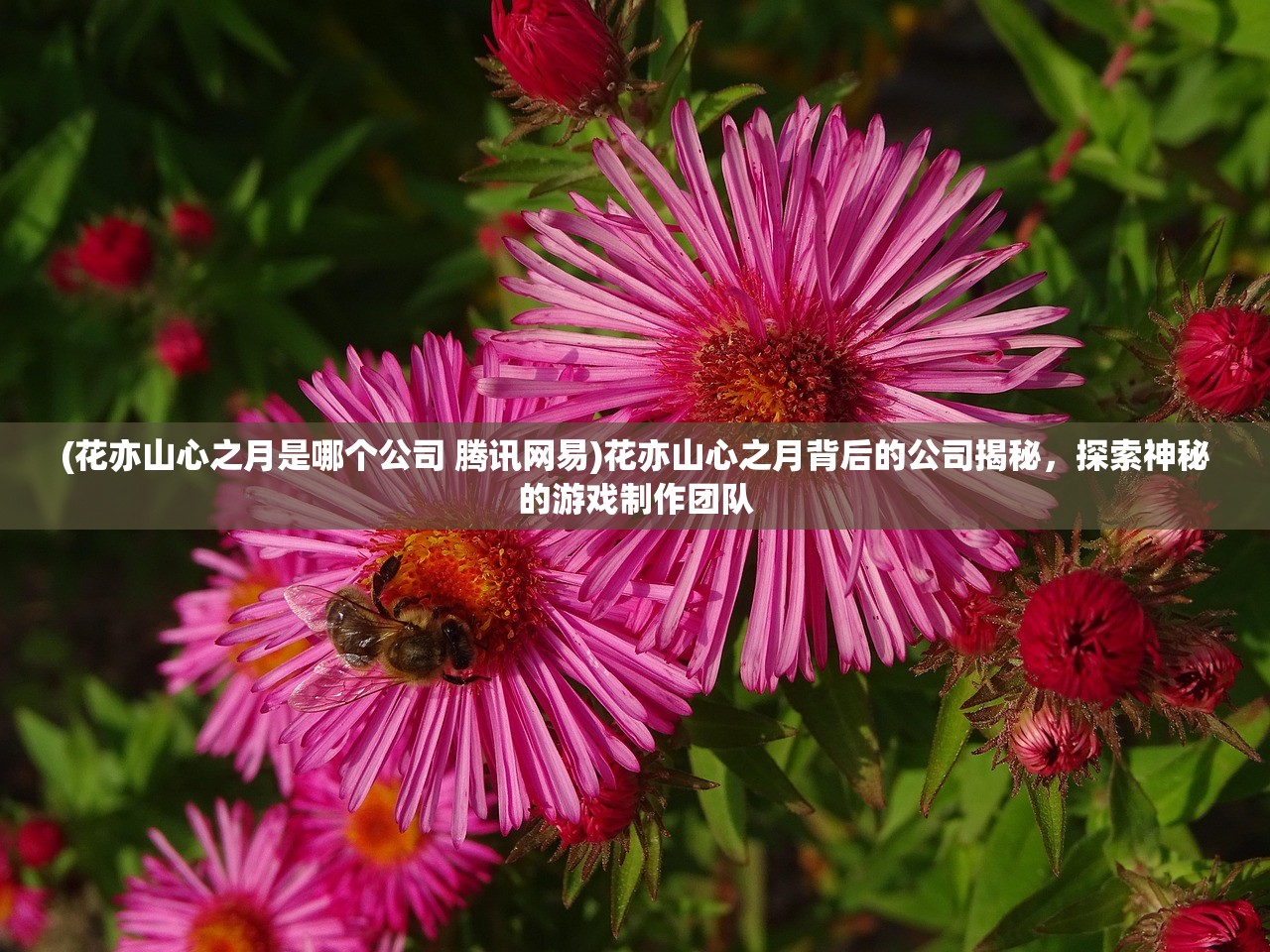 (花亦山心之月是哪个公司 腾讯网易)花亦山心之月背后的公司揭秘，探索神秘的游戏制作团队