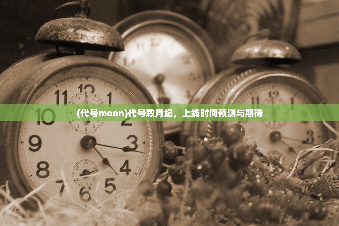 (代号moon)代号敕月纪，上线时间预测与期待
