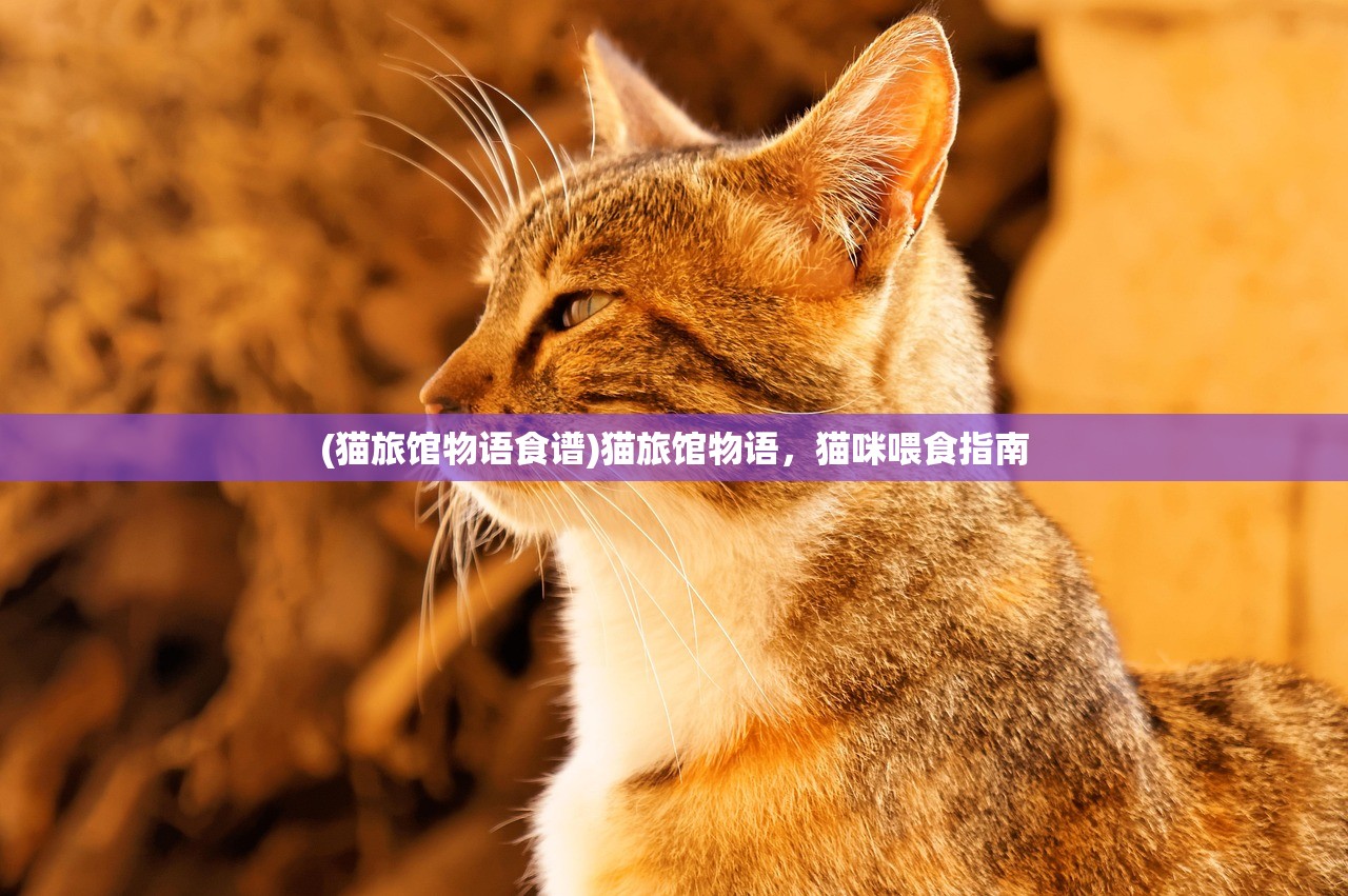 (猫旅馆物语食谱)猫旅馆物语，猫咪喂食指南