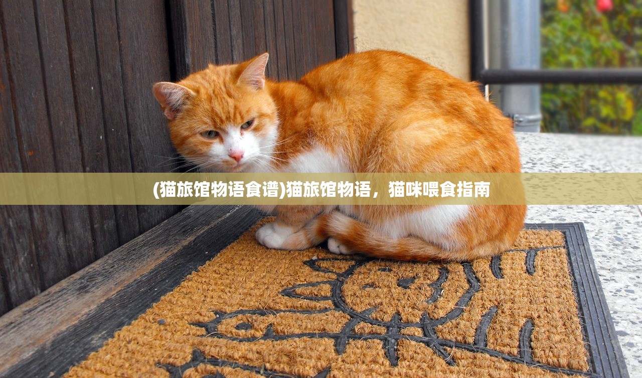 (猫旅馆物语食谱)猫旅馆物语，猫咪喂食指南