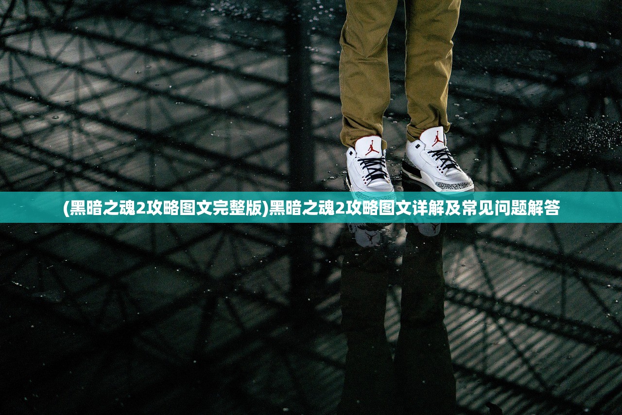 (黑暗之魂2攻略图文完整版)黑暗之魂2攻略图文详解及常见问题解答