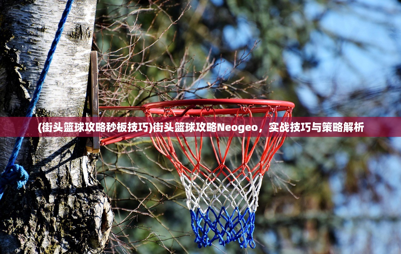 (街头篮球攻略秒板技巧)街头篮球攻略Neogeo，实战技巧与策略解析