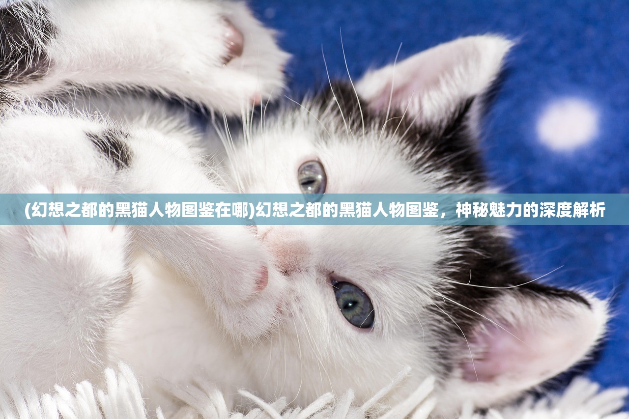 (幻想之都的黑猫人物图鉴在哪)幻想之都的黑猫人物图鉴，神秘魅力的深度解析