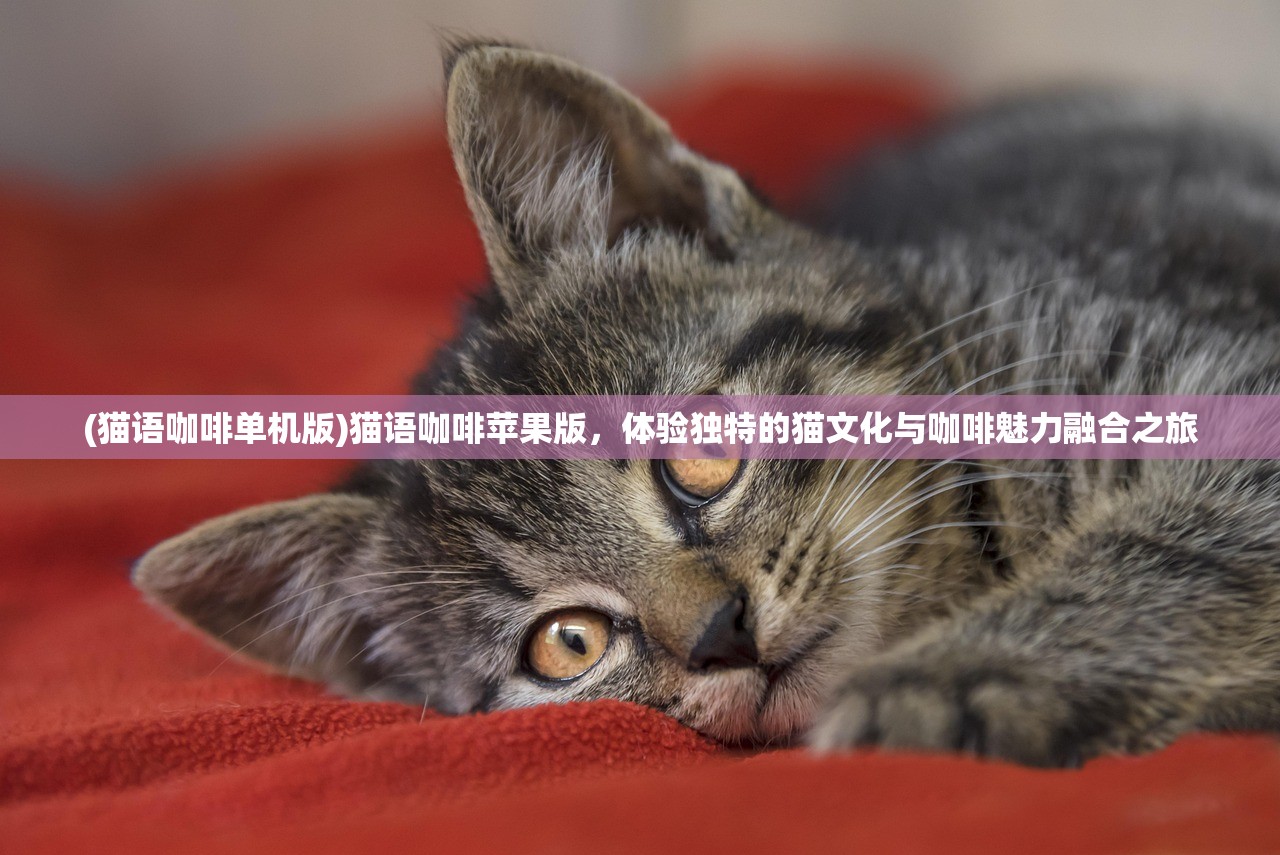 (猫语咖啡单机版)猫语咖啡苹果版，体验独特的猫文化与咖啡魅力融合之旅