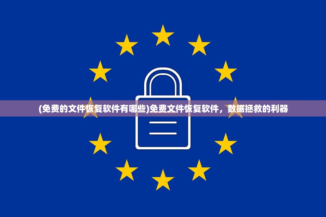 (免费的文件恢复软件有哪些)免费文件恢复软件，数据拯救的利器