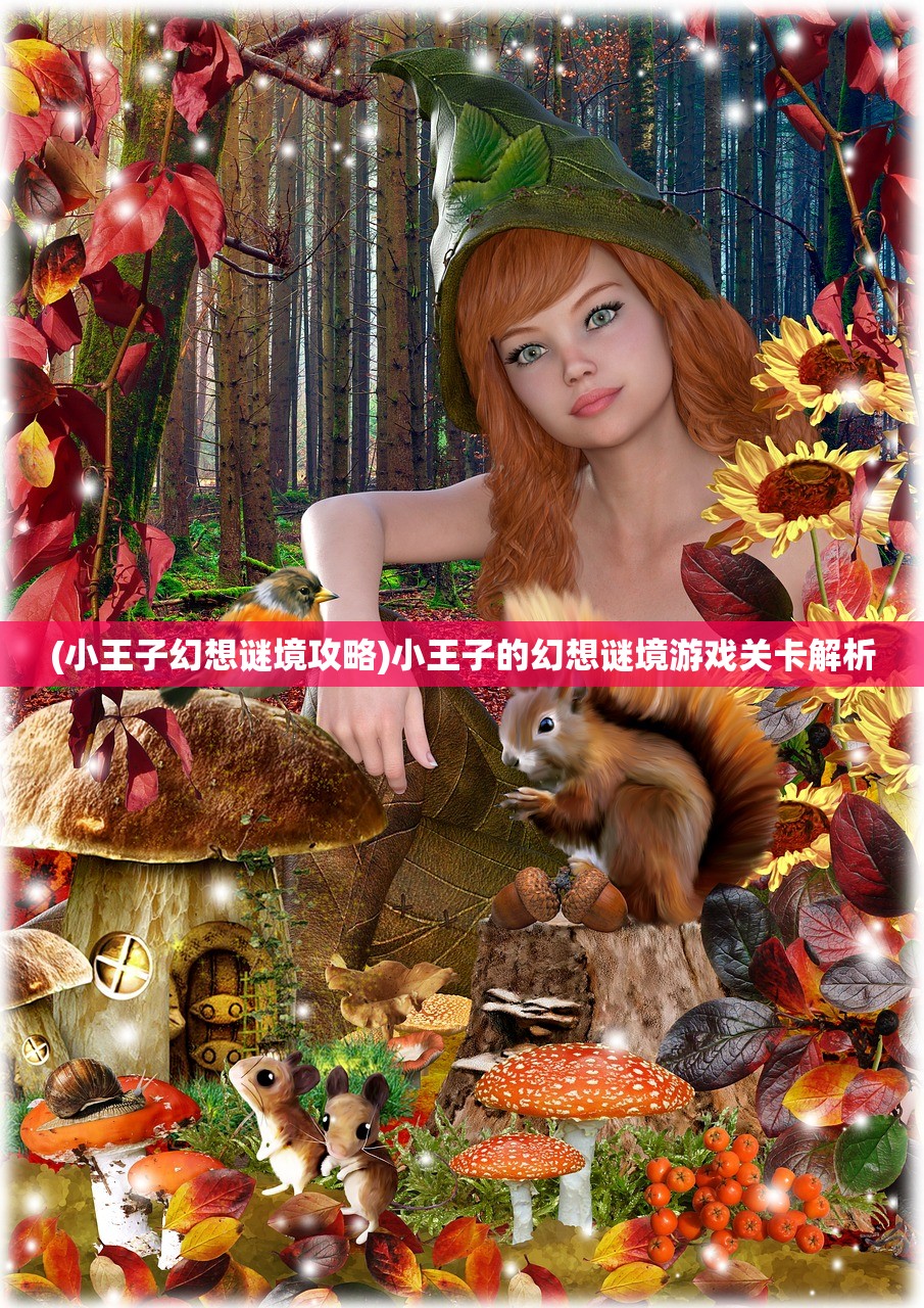 (小王子幻想谜境攻略)小王子的幻想谜境游戏关卡解析