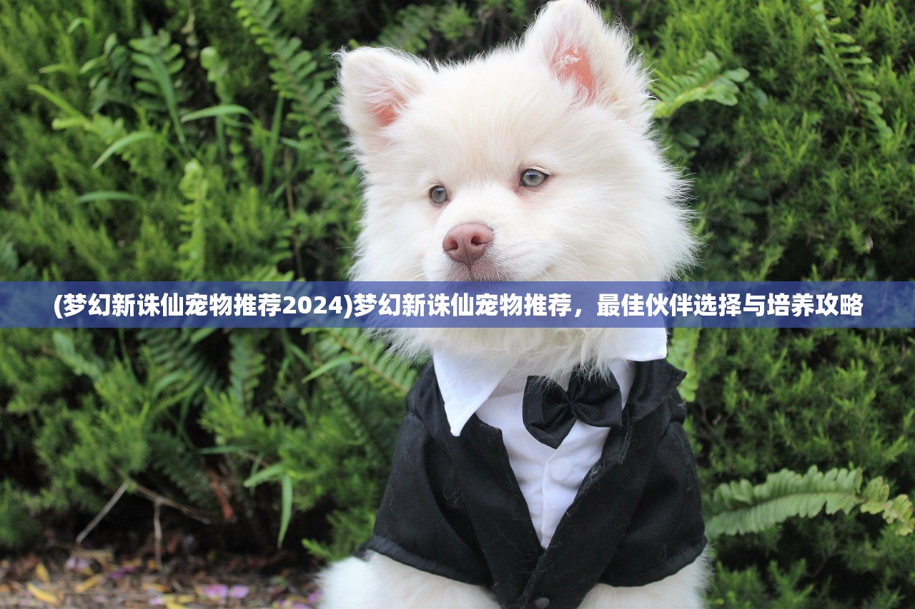 (梦幻新诛仙宠物推荐2024)梦幻新诛仙宠物推荐，最佳伙伴选择与培养攻略