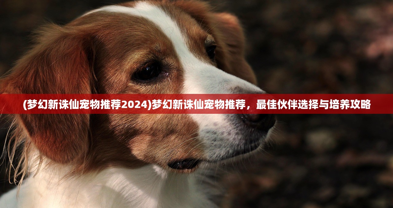 (梦幻新诛仙宠物推荐2024)梦幻新诛仙宠物推荐，最佳伙伴选择与培养攻略