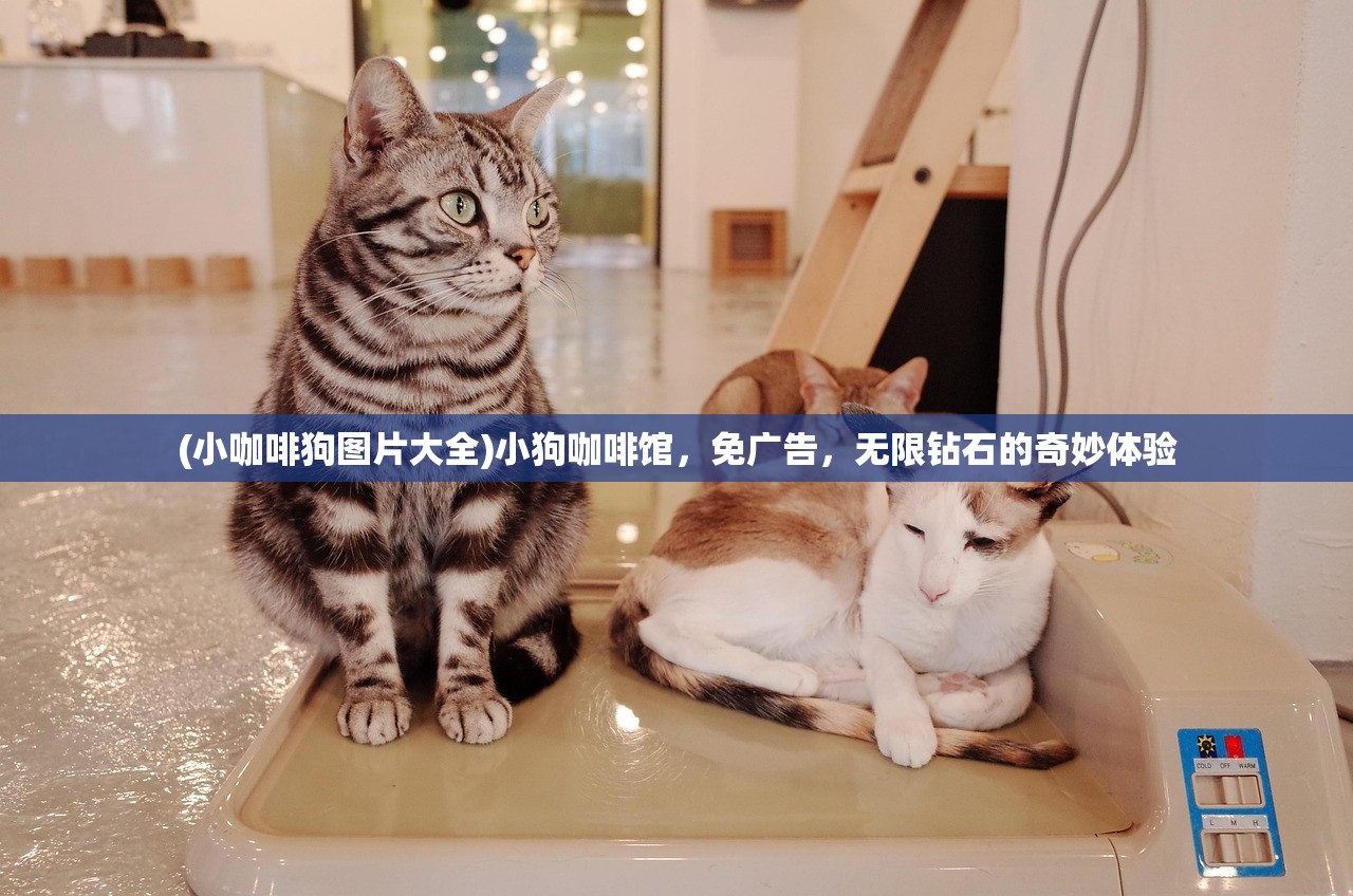 (小咖啡狗图片大全)小狗咖啡馆，免广告，无限钻石的奇妙体验