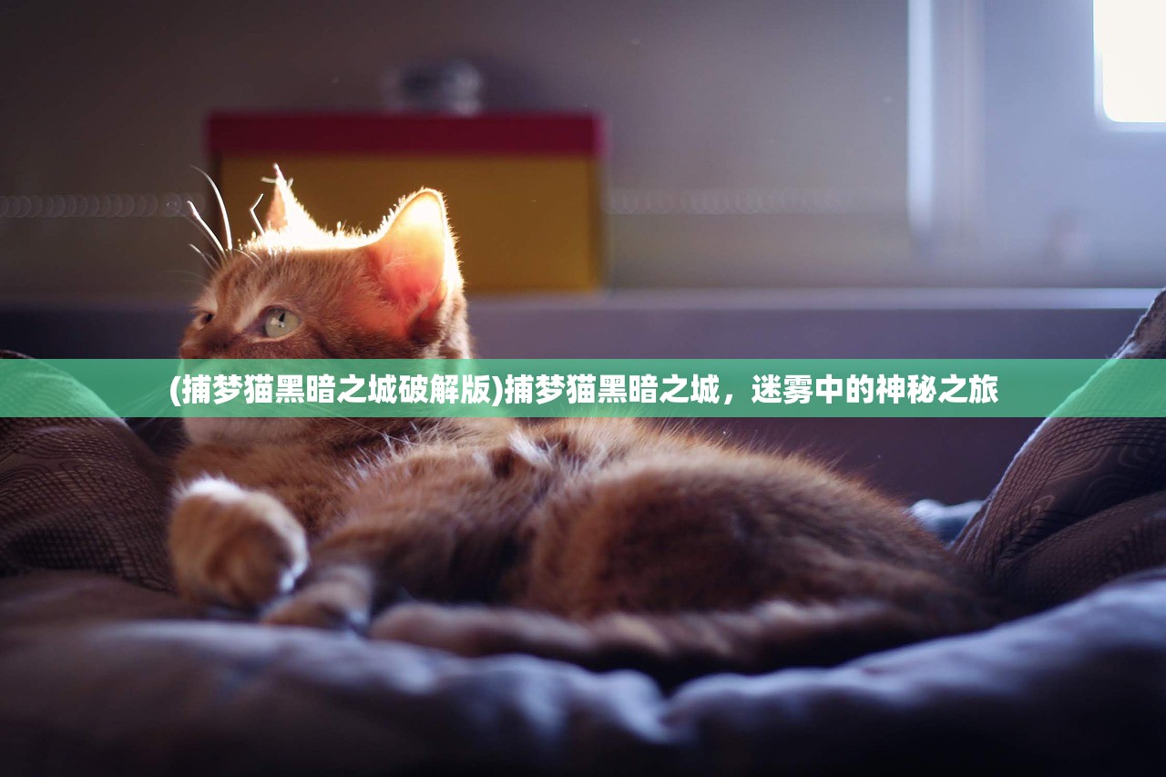 (捕梦猫黑暗之城破解版)捕梦猫黑暗之城，迷雾中的神秘之旅