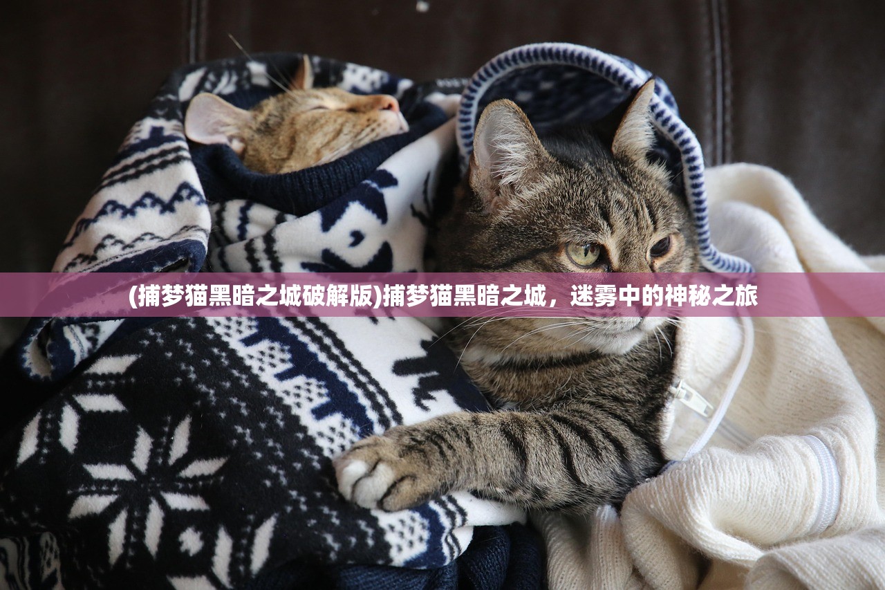 (捕梦猫黑暗之城破解版)捕梦猫黑暗之城，迷雾中的神秘之旅