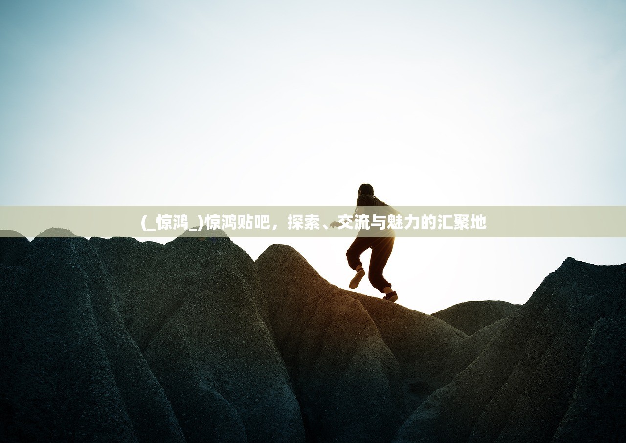 (_惊鸿_)惊鸿贴吧，探索、交流与魅力的汇聚地