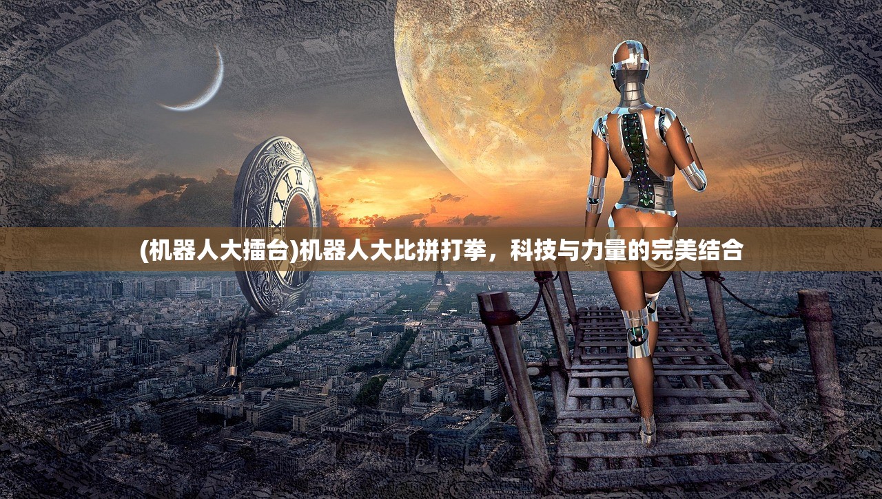 (机器人大擂台)机器人大比拼打拳，科技与力量的完美结合