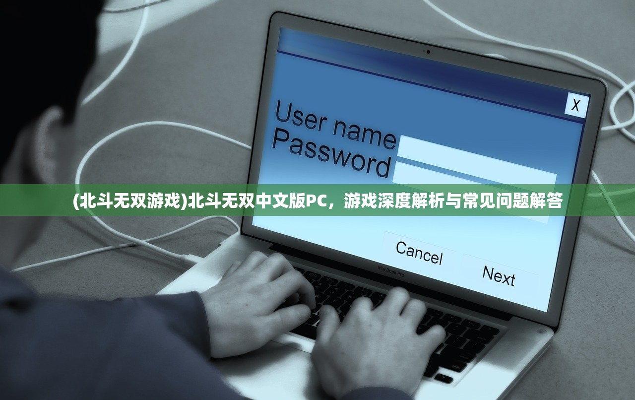 (北斗无双游戏)北斗无双中文版PC，游戏深度解析与常见问题解答