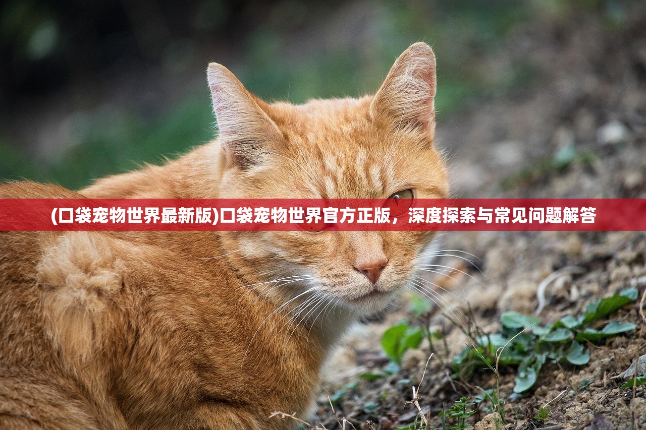 (口袋宠物世界最新版)口袋宠物世界官方正版，深度探索与常见问题解答