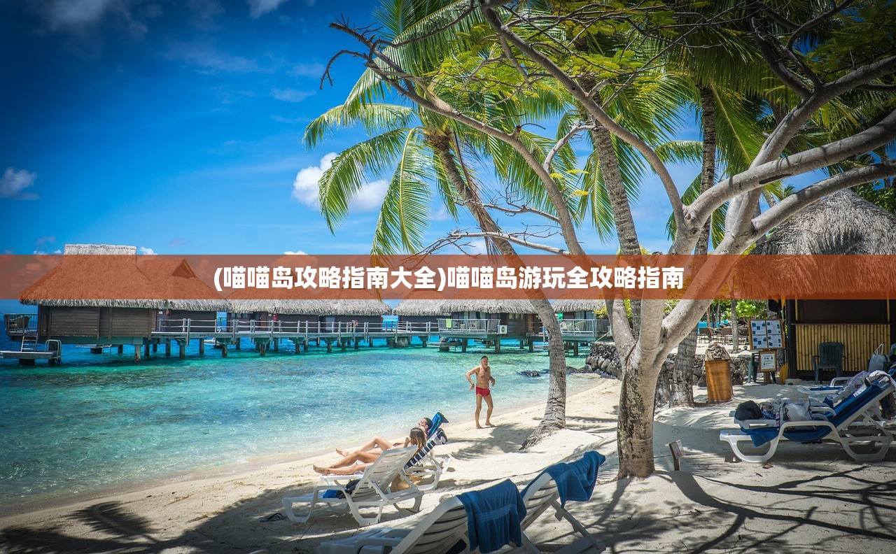 (喵喵岛攻略指南大全)喵喵岛游玩全攻略指南