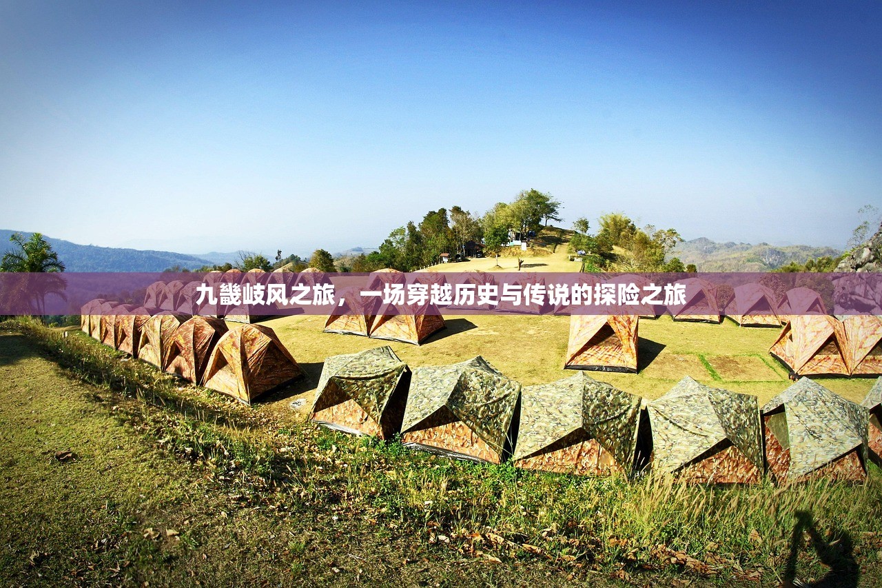 (名柯迷宫十字路口国语版配音)名柯迷宫十字路口国语版，深度解析与常见问题解答
