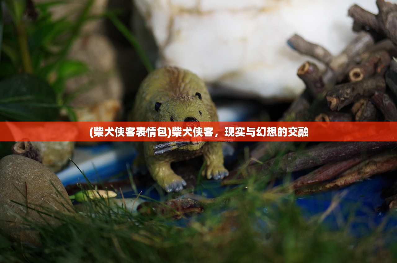 (柴犬侠客表情包)柴犬侠客，现实与幻想的交融