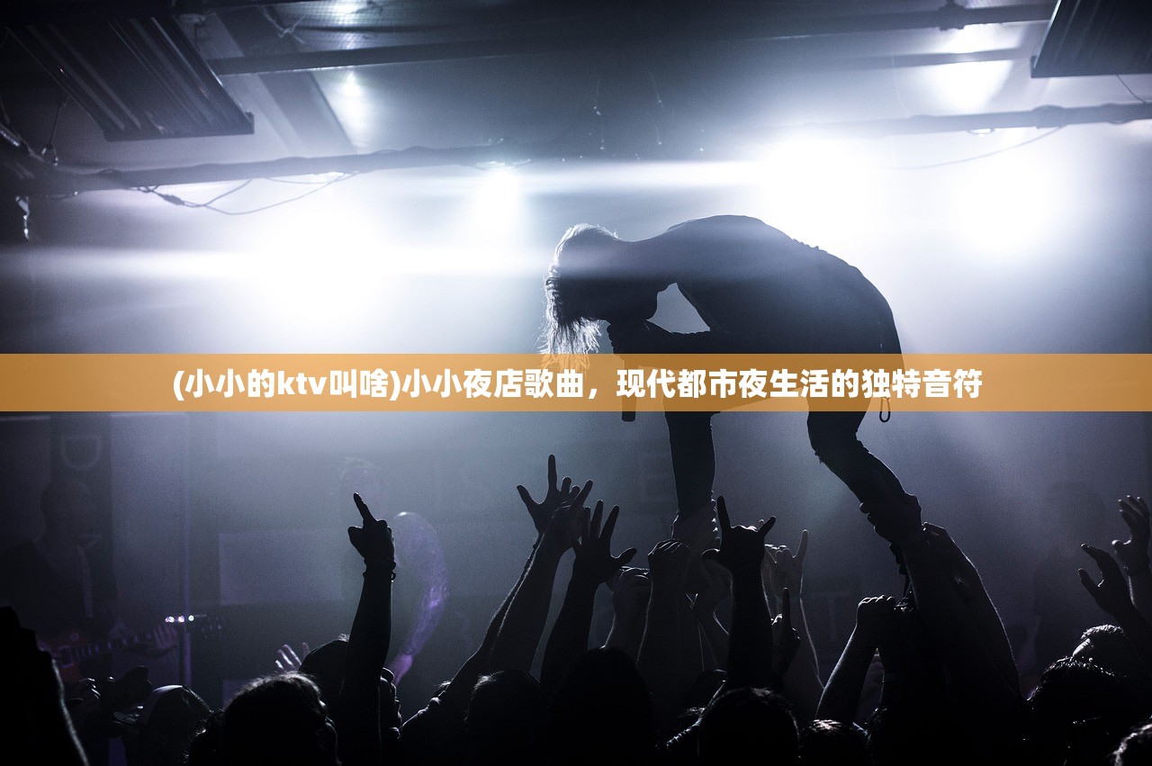 (小小的ktv叫啥)小小夜店歌曲，现代都市夜生活的独特音符