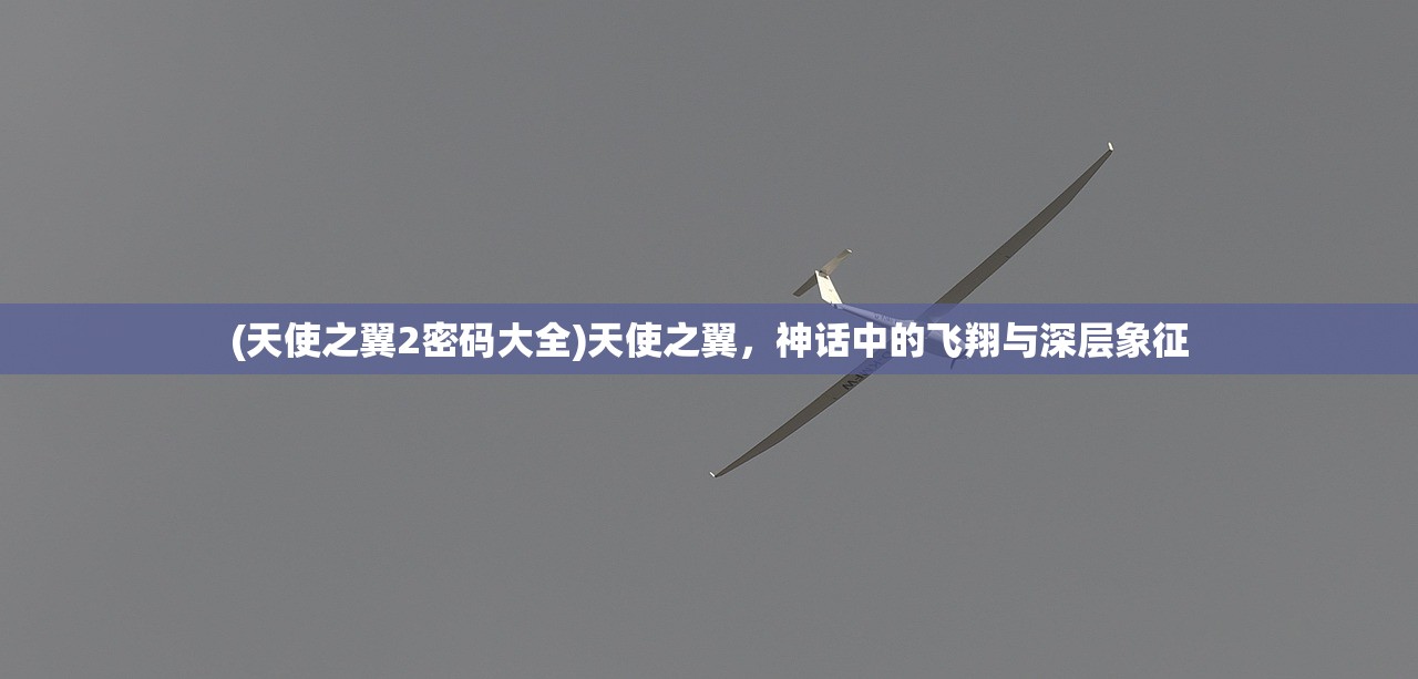 (天使之翼2密码大全)天使之翼，神话中的飞翔与深层象征