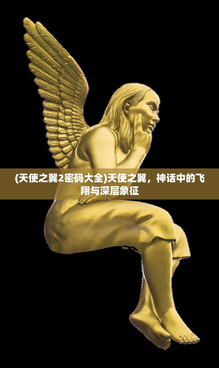 (天使之翼2密码大全)天使之翼，神话中的飞翔与深层象征