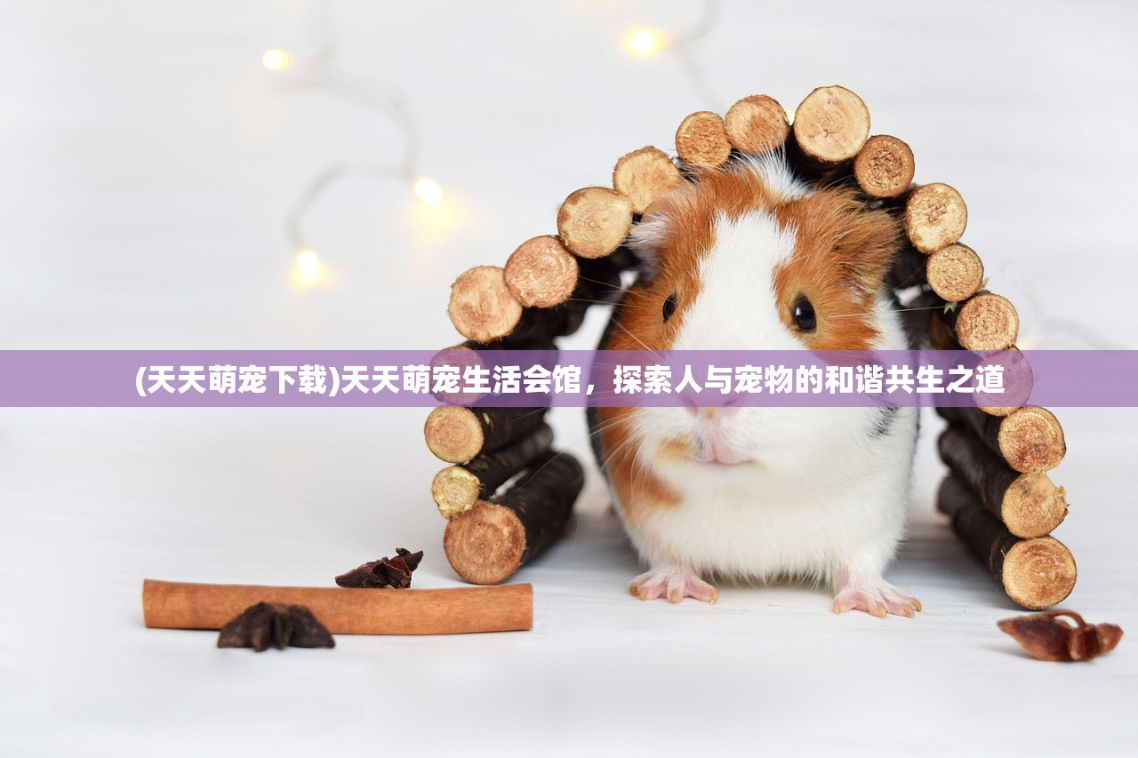 (天天萌宠下载)天天萌宠生活会馆，探索人与宠物的和谐共生之道