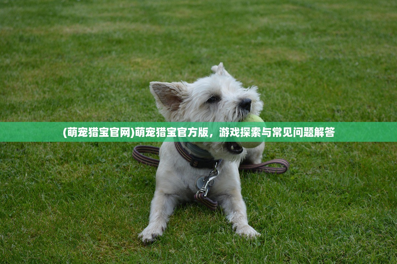 (萌宠猎宝官网)萌宠猎宝官方版，游戏探索与常见问题解答
