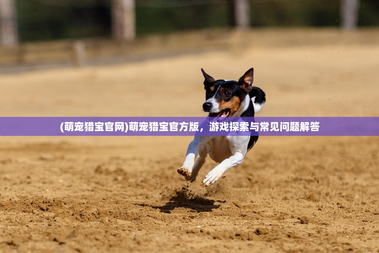 (萌宠猎宝官网)萌宠猎宝官方版，游戏探索与常见问题解答