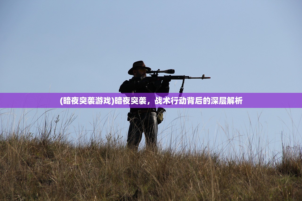 (暗夜突袭游戏)暗夜突袭，战术行动背后的深层解析