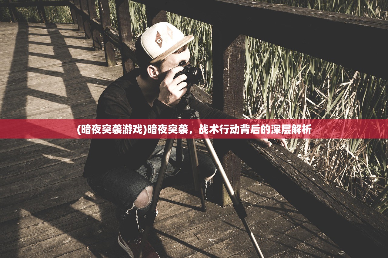 (暗夜突袭游戏)暗夜突袭，战术行动背后的深层解析