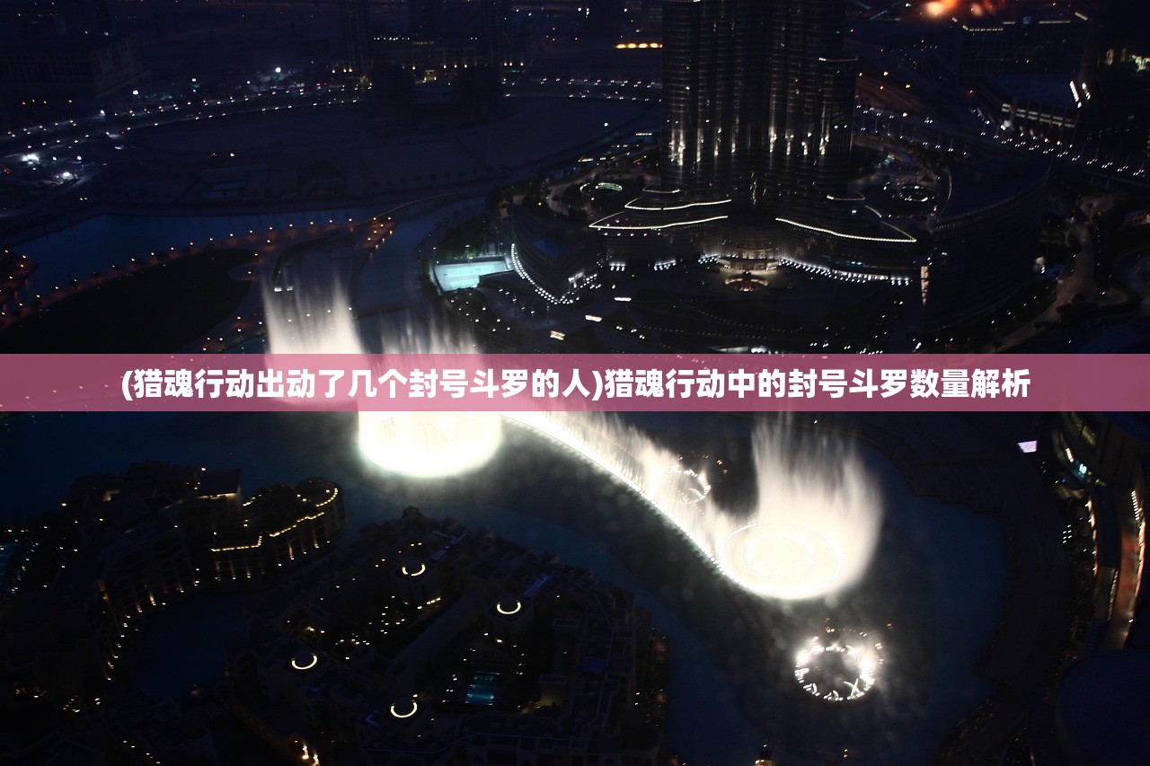 (猎魂行动出动了几个封号斗罗的人)猎魂行动中的封号斗罗数量解析